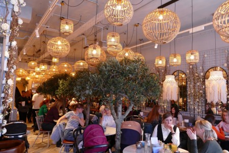 Megan's, Wimbledon - wide shot of customers sat at tables, trees in between tables, chic decor and unique and macrame lampshades