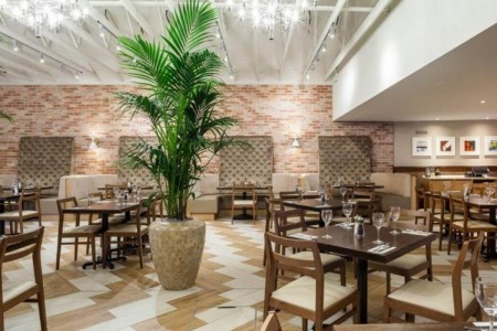 Prezzo, Abergavenny - large potted trees, dark wooden tables and chairs, brick walls, wooden floor, bright lighting