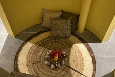 birds eye view of tree stump with cushions