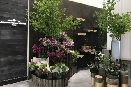 Aoyoma Flower Market shoplifting London with bespoke walls, installations, shelving, water features
